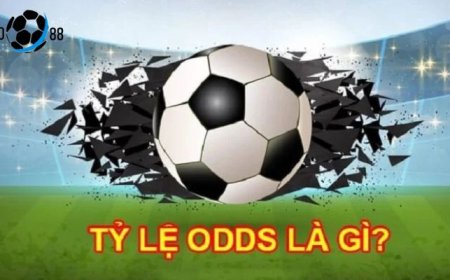 Tỷ Lệ Odds Là Gì Tại Tỷ Lệ Kèo TV?