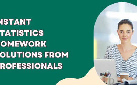 Instant Statistics Homework Solutions from Professionals