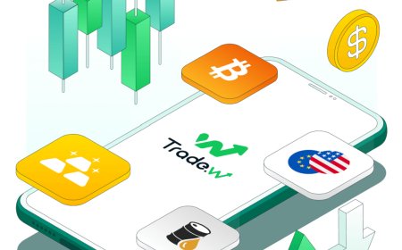 Start Your Forex Journey with a Trading Demo Account from Tradewill