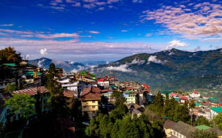 Darjeeling Tour Packages Under 10000: Explore Himalayan Beauty