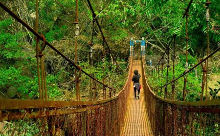 Guwahati Shillong Tour for Families – A Peaceful Nature Retreat