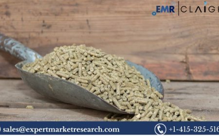 Alfalfa Pellets Market Size, Trends, Growth & Forecast 2025–2034