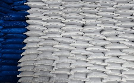 Why Polypropylene Woven Bags Are a Smart Choice for Sustainable Packaging