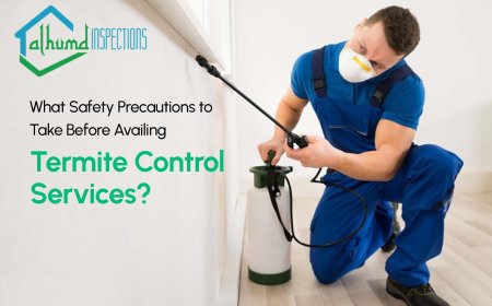 Top Signs You Need a Termite Inspection in Baltimore and What to Do Next