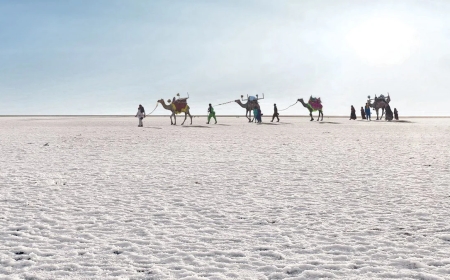 Explore Gujarat’s Culture with Kutch Bhuj Tour Package Today