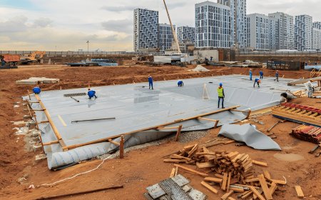 How Polypropylene Ground Cover Supports Large-Scale Landscaping Projects