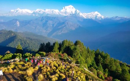 Vibrant Trail Secrets That Will Make You Love Ghorepani Hiking