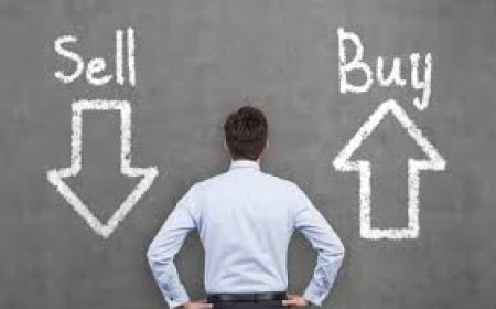 How SMEs Can Utilize Green Shoe Options for Growth