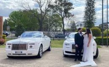 Highlights and Hidden Gems: Day Tours in Scotland