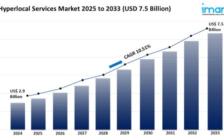 Hyperlocal Services Market 2025 | Share, Demand & Forecast Till 2033