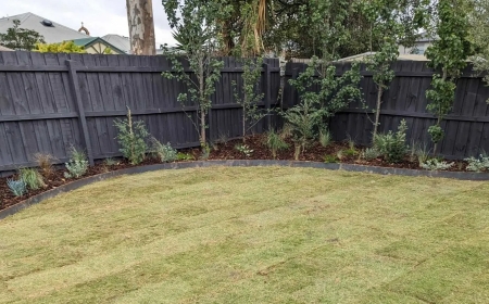 Transform Your Outdoor Space with Expert Landscaping in Altona