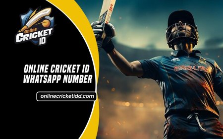 Online Cricket ID: How to Choose the Best Provider