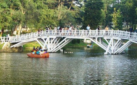 Enjoy Nature’s Beauty in One Day at the Scenic Ward's Lake