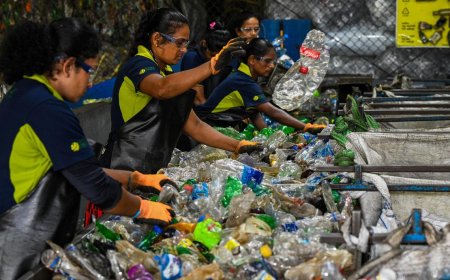 HOW PLASTIC RECYCLING COMPANIES IN SRI LANKA