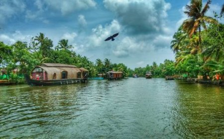 Discover Kerala in 7 Days: Top Tour Packages & Highlights