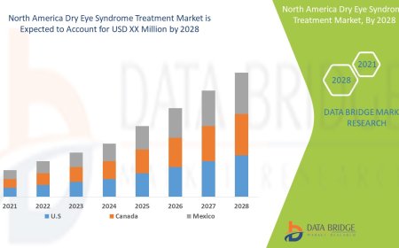 North America Dry Eye Syndrome Treatment Market Trends, Opportunities and Forecast By 2028
