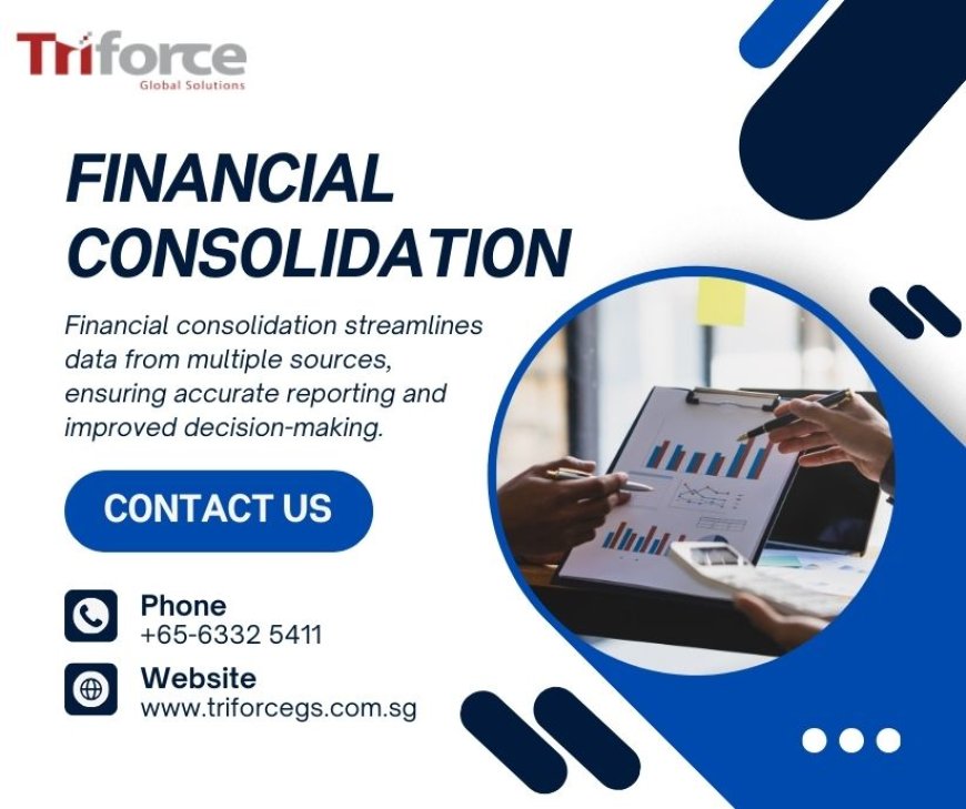 Financial Consolidation and Performance Management Software: A Complete Solution for Businesses
