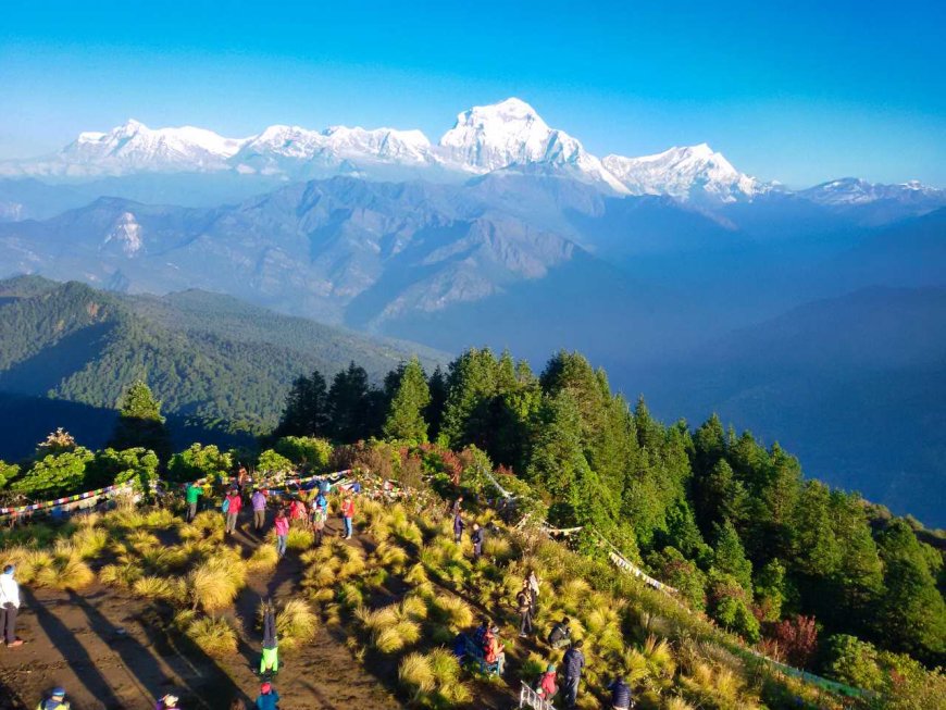 Vibrant Trail Secrets That Will Make You Love Ghorepani Hiking