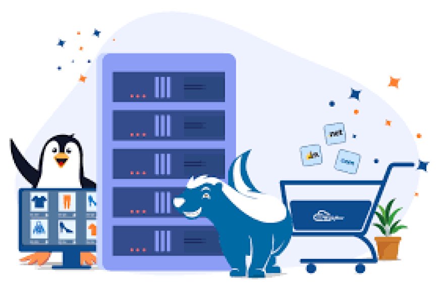 Affordable Linux Shared Hosting: How to Get Quality Hosting Without the High Price