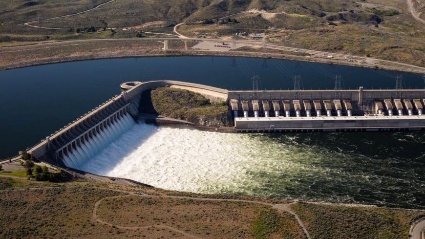 A Detailed Insight on the Growing Importance of Fish Passage in Hydropower
