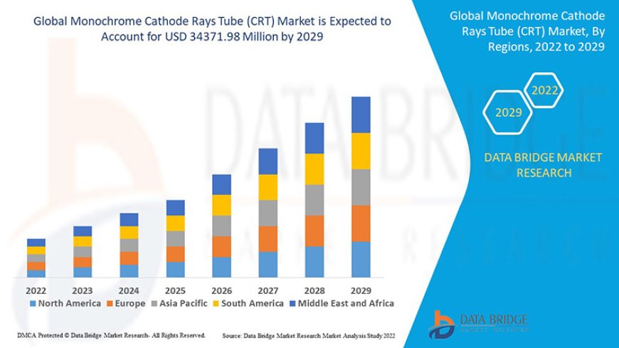 Niche Industrial Applications Sustain Monochrome Cathode Rays Tube (CRT) Market