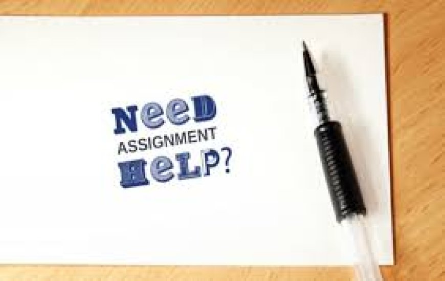 Who Can Help Me with My Assignments?