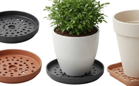 How Drip Trays Help Prevent Wood Deck Water Rot Without Extra Effort