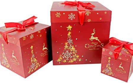 Magic of Christmas Boxes: Packaging That Spreads Holiday Cheer