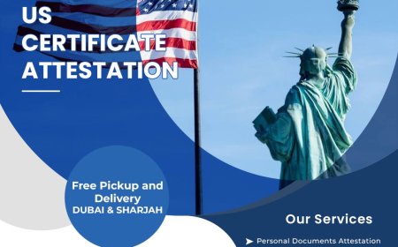 Benchmark Attestation Services: Expert US Certificate Attestation for UAE