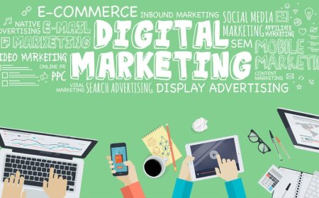 Dominating Local Search: Top SEO Services in Noida for Businesses