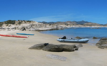 Explore East Cape’s Hidden Gems: Hiking, Scuba Diving, Horseback Riding & Cabo Pulmo