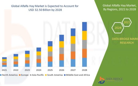 Alfalfa Hay Market Emerging Trends and Demand 2028