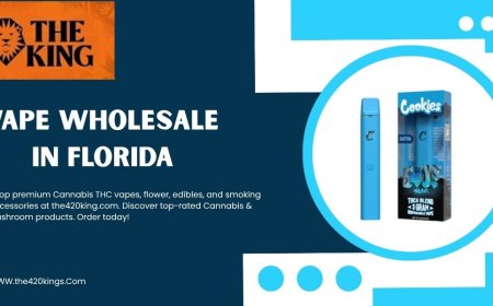 The 420 Kings: Vape Wholesale in Florida & Smoke Shop Trends