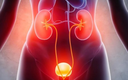 Urinary Tract Infection (UTI): Causes, Symptoms & Treatment