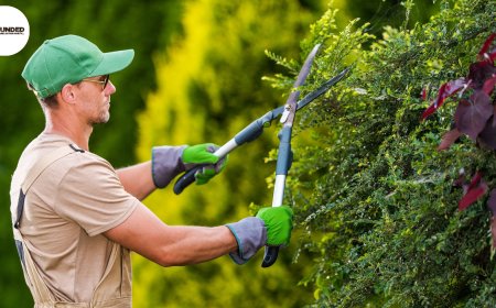 How Long Is the Validity of a PDC Certificate?