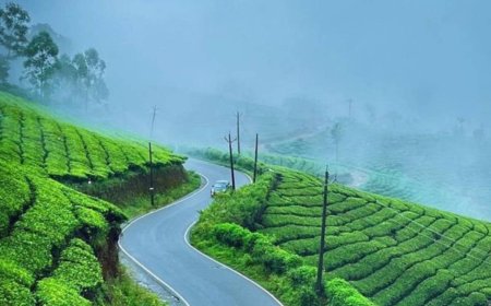 How to Spend a Relaxing Weekend in Munnar