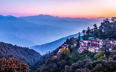 Things to Do in Mussoorie: From Mall Road to Misty Trails