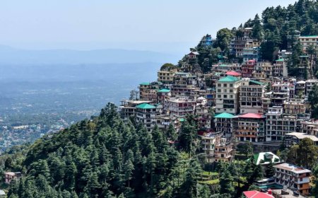 Chasing Clouds: Discover Dharamshala and Dalhousie