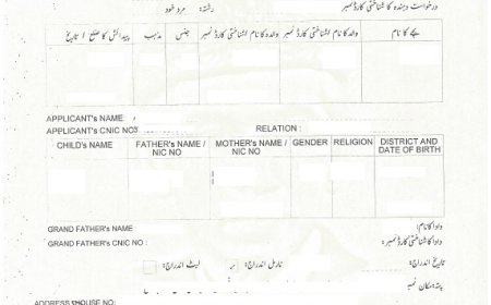 Legal Procedures to Follow Post Birth Certificate Issuance