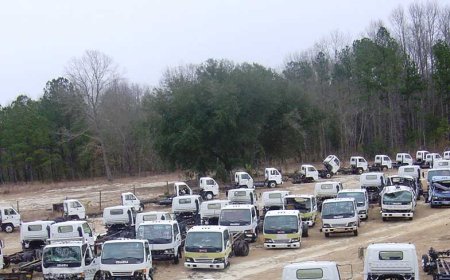 What Old Cars Tell Us About the Future of Motoring