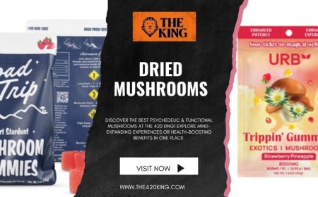 The Benefits of Dried Mushrooms: A Natural Wellness Choice