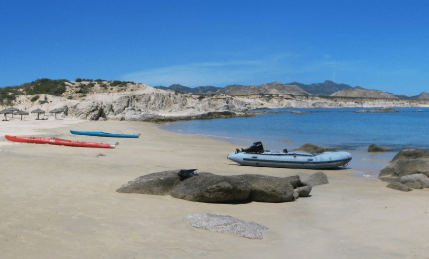 Explore East Cape’s Hidden Gems: Hiking, Scuba Diving, Horseback Riding & Cabo Pulmo